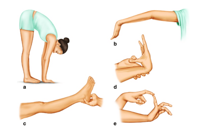 Illustration des postures du test de Beighton