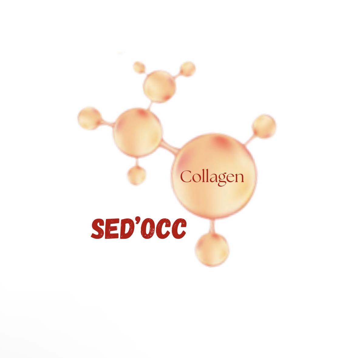 SED'OCC Logo