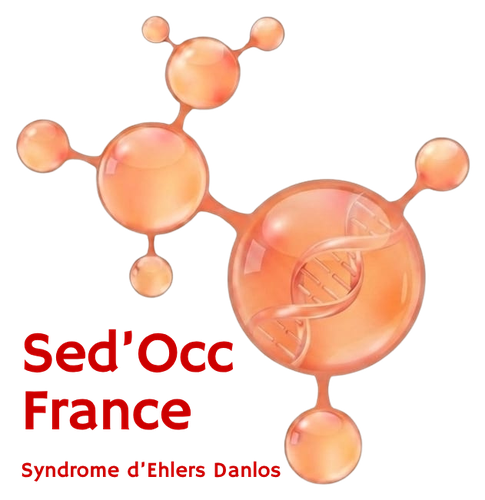 SED'OCC Logo